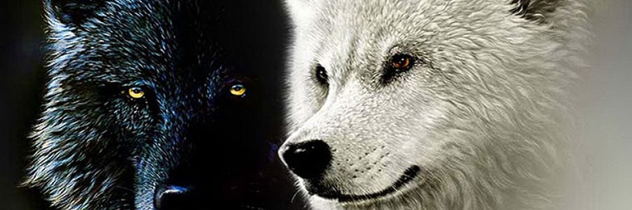 Nuestra Dualidad: La Leyenda De Los Dos Lobos 
